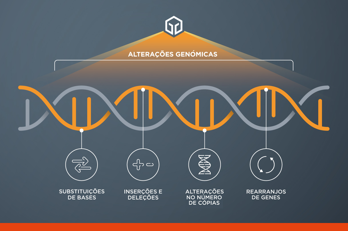 Todos os serviços da Foundation Medicine utilizam a nossa abordagem inovadora do perfil genómico abrangente