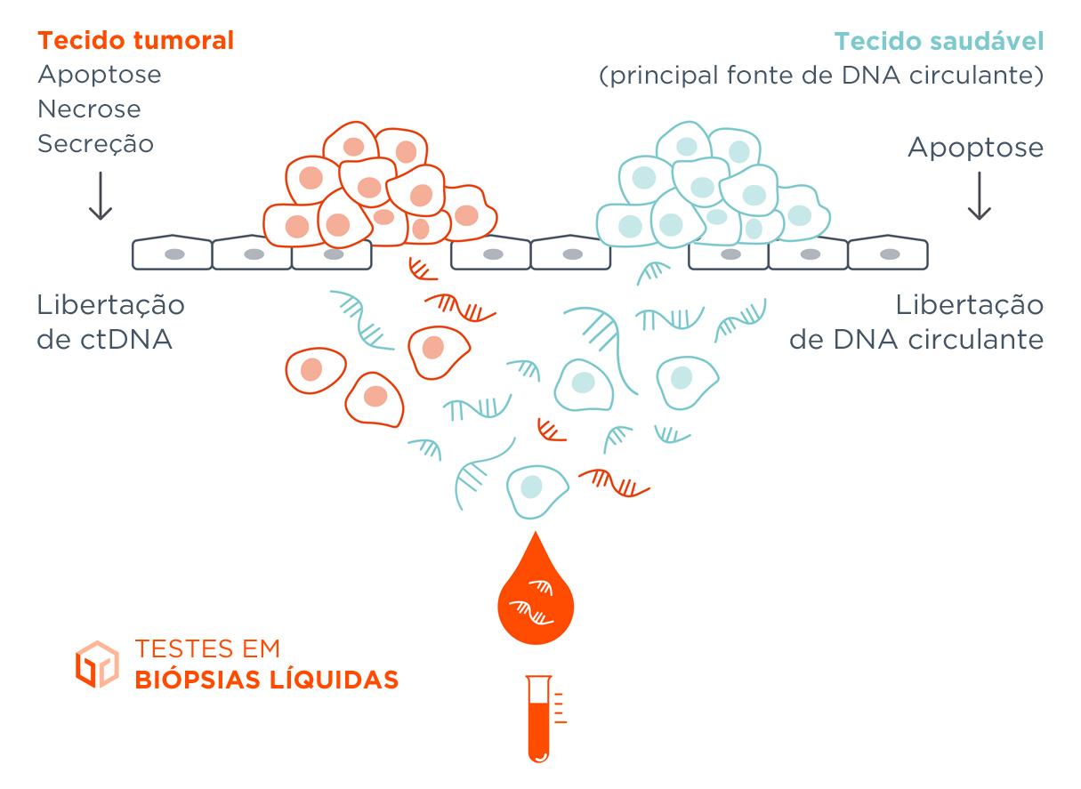 Analisa o ADN tumoral circulante